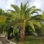 Rosa With Yard And Children's Playground