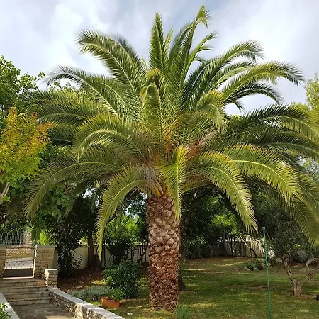 Rosa With Yard And Children's Playground