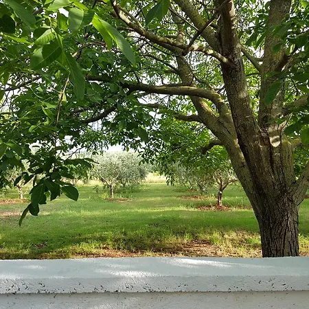 Daire Rosa With Yard And Children's Playground *