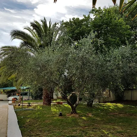 Apartment Rosa With Yard And Children's Playground Tar-Vabriga