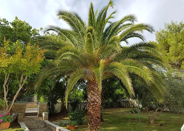 Rosa With Yard And Children's Playground