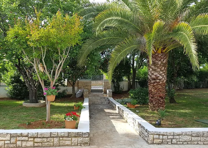 Rosa With Yard And Children's Playground