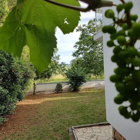 Villa Rosa Near Porec - Garden & Playground, Explore Istria