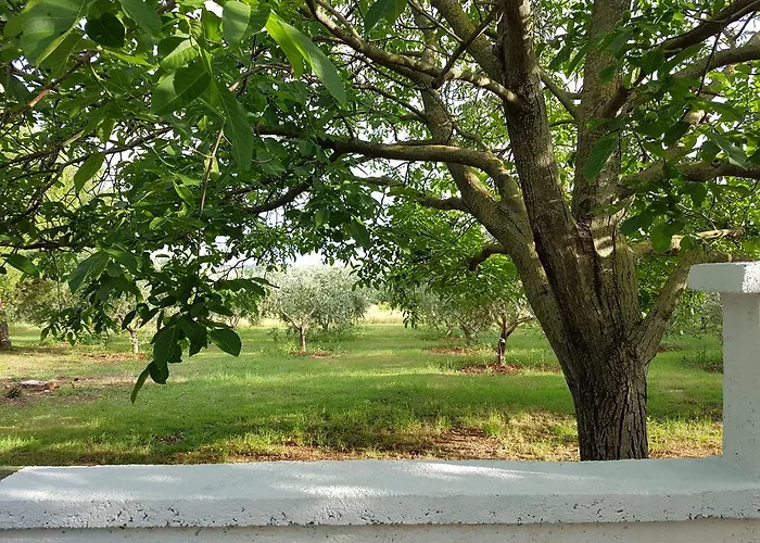 Apartman Rosa With Yard And Children's Playground *