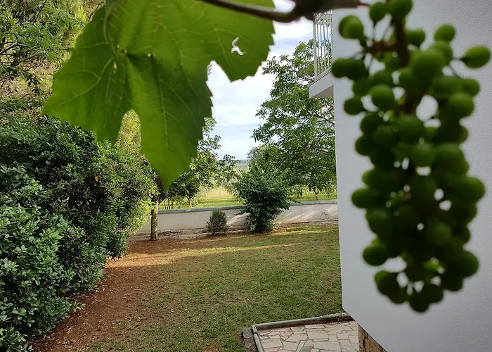 Rosa With Yard And Children's Playground